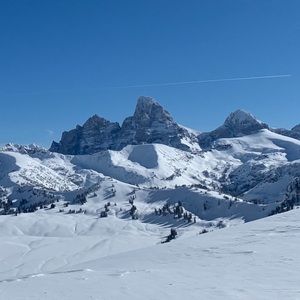 Meet your Posher, Candice